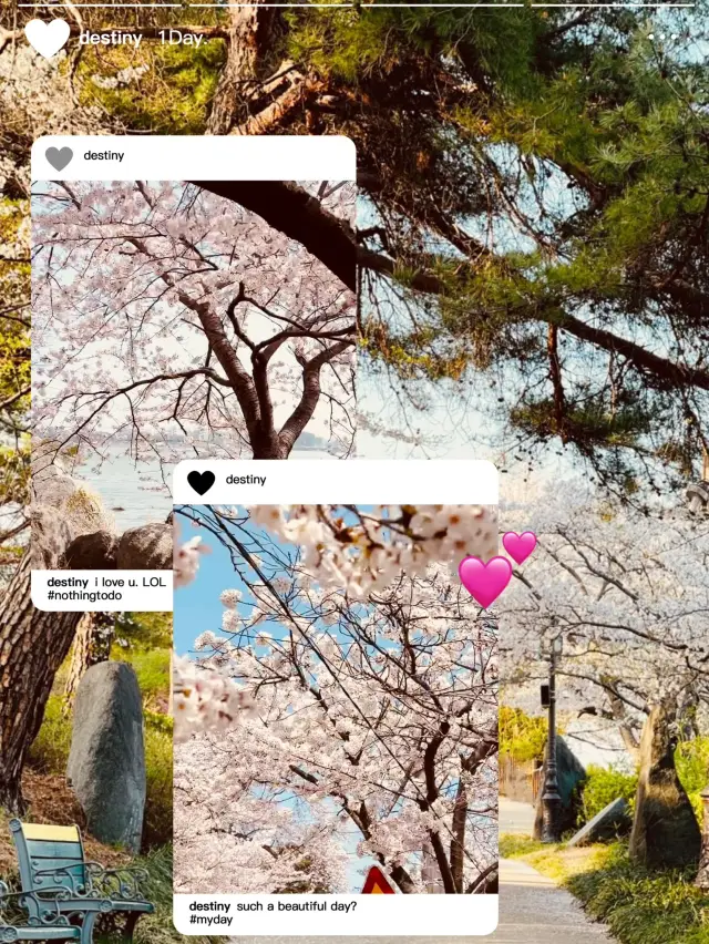 A Peaceful Spot to Watch the Sunset!