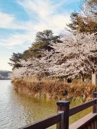 A Scenic Running Trail with Fresh Spring Air!