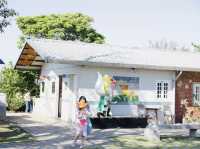 桃園｜桃園秘境花海 溪海花卉園區必玩亮點，賞花、看飛機、親子同樂一次滿足
