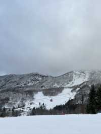 銀山、藏王