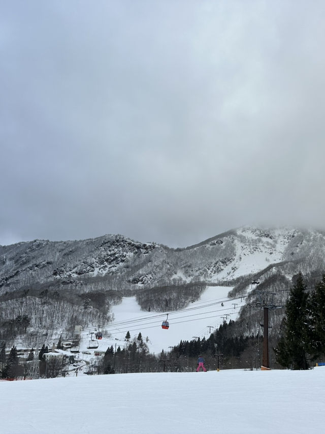 銀山、藏王