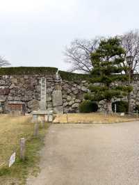 【兵庫／姫路】国宝、姫路城！
