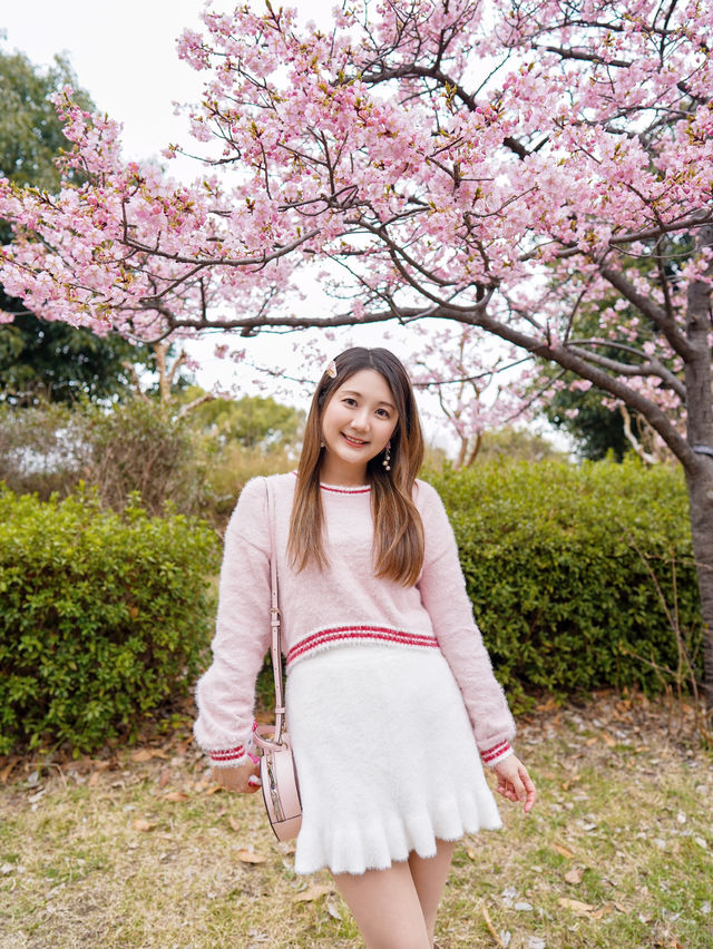 人不多，交通方便的大阪賞櫻公園🌸