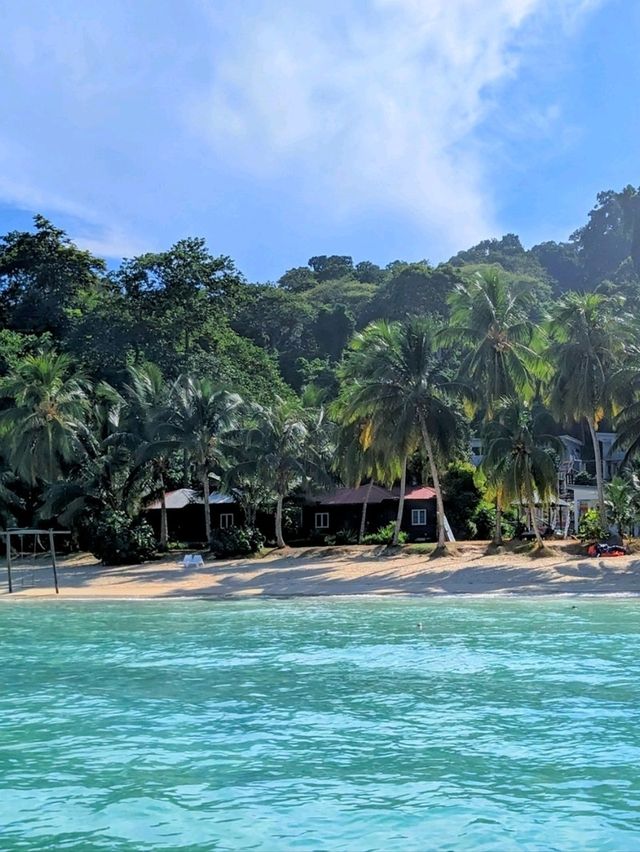 Tenggol Coral Beach Resort - The Dive Site