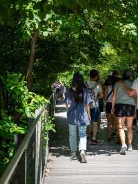 高架の楽園！ハイラインの写真散歩 📸🌿