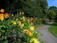 The Arboretum: Lose yourself in Neverland at Nottingham!