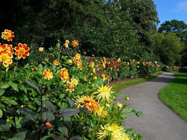 The Arboretum: Lose yourself in Neverland at Nottingham!