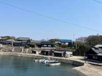 【アートと自然が融合する離島！「佐久島」でのんびり島旅🌊🎨】