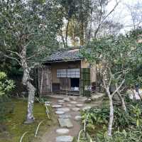 【愛媛】臥龍山荘🌱