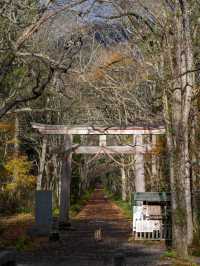 戸隠神社⛩️ 神秘的な杉並木が続くパワースポット