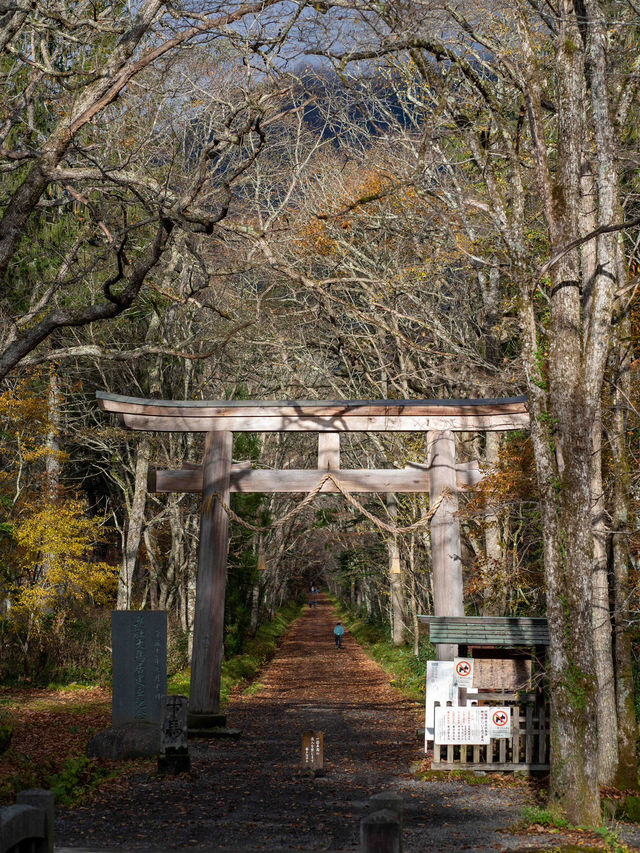 戸隠神社⛩️ 神秘的な杉並木が続くパワースポット