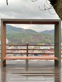 꽃들이 예쁘게 피고 있는 완산칠봉꽃동산