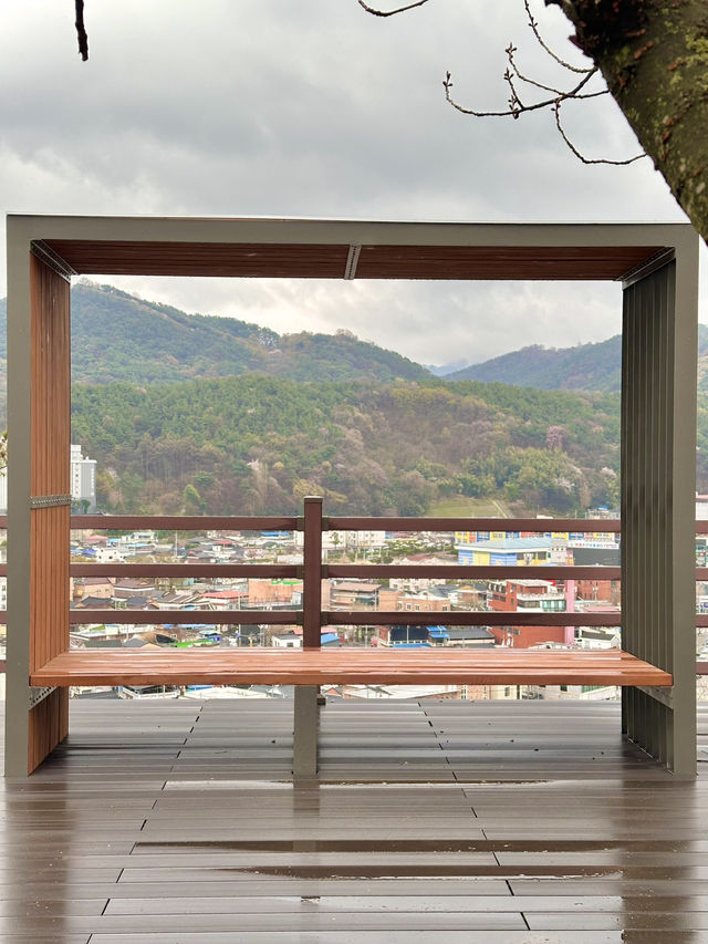 꽃들이 예쁘게 피고 있는 완산칠봉꽃동산