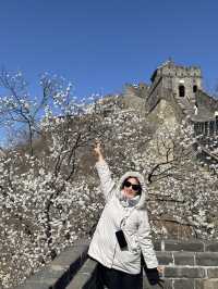 Beijing – Tianjin Journey Through History and Modernity