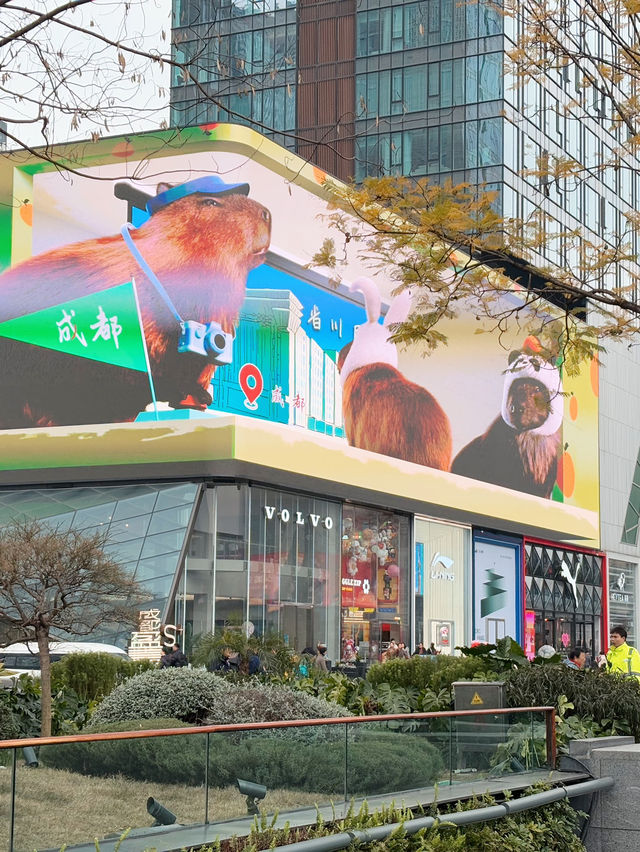 Taikoo li แหล่งรวมแบรนด์เนม ใจกลางเมืองเฉิงตู
