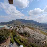 遊四國島香川縣：伊勢朝日山本宮
