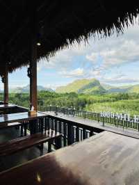 ไร่ชา 1000 ไมล์ – แวะพักชิมชา กาแฟ สไตล์ชิลๆ