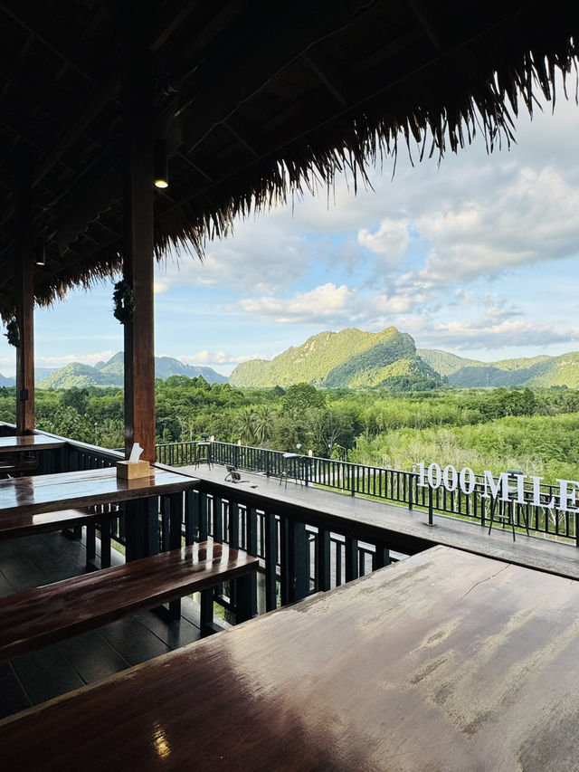 ไร่ชา 1000 ไมล์ – แวะพักชิมชา กาแฟ สไตล์ชิลๆ