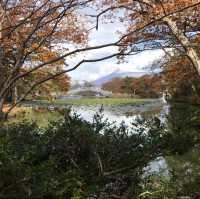 【大沼公園】函館から30分の大自然🍃