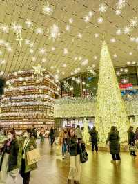 From Palaces to Alpacas: A Whirlwind Seoul Adventure