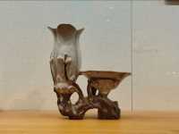 Guangdong Shiwan Ceramics Museum-The Living Heritage of "China’s Ceramic Capital