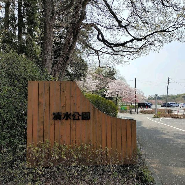 Shimizu Park, Chiba