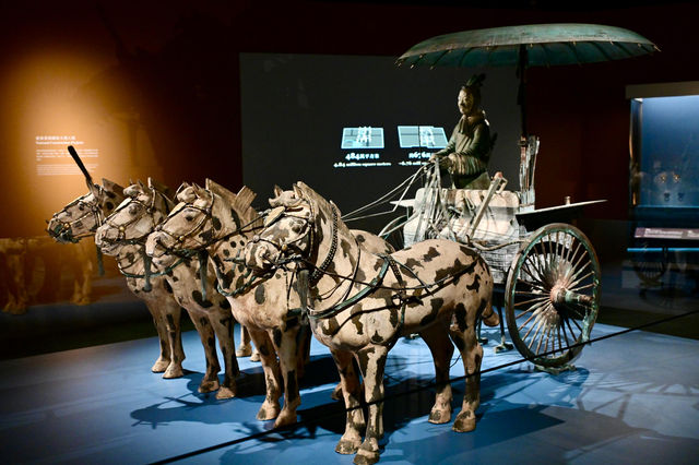 香港歷史博物館展出秦始皇兵馬俑等逾130套秦漢時期珍貴文物