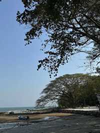 Bambu beach club ระยอง