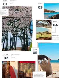 Sangju Eunmorae Beach: A Pristine Sands Paradise in Spring 