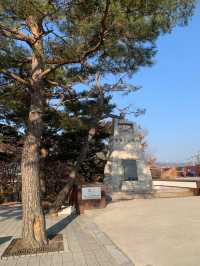 🇰🇷Our DMZ visit from Seoul🇰🇷Must Visit! 
