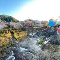 【静岡】伊豆の小京都と呼ばれる景色がみれる「修善寺」