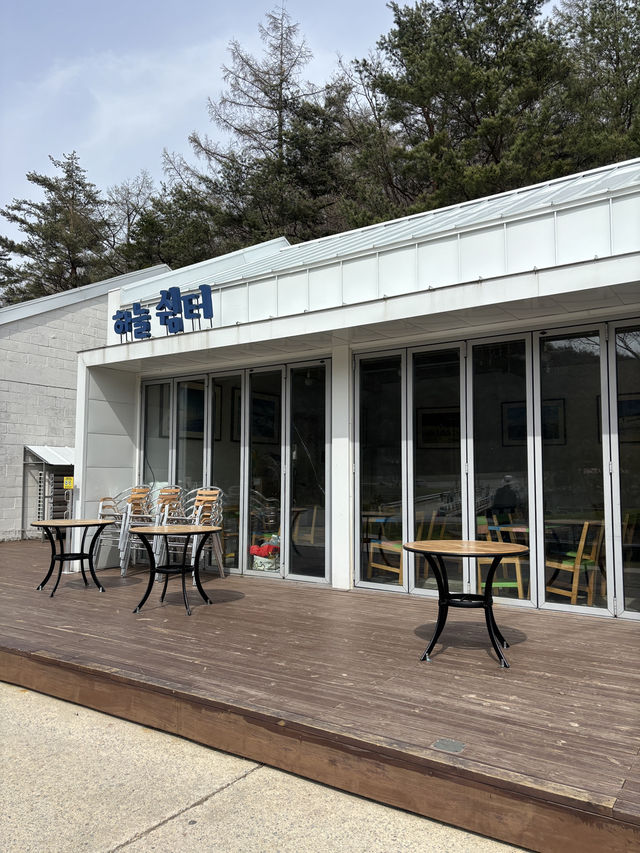 트래커마차 타고 떠나는 대관령 하늘 목장여행☁️💙