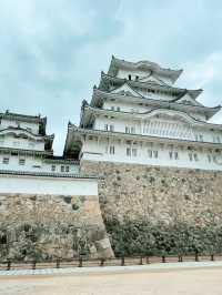 【兵庫🏯姫路】コスパ良過ぎ‼️800円で大満足♡昭和を感じる定食屋さん