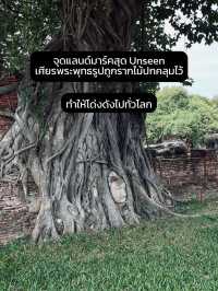 🧡พาเที่ยว "วัดมหาธาตุ" อุทธยานประวัติศาสตร์✨