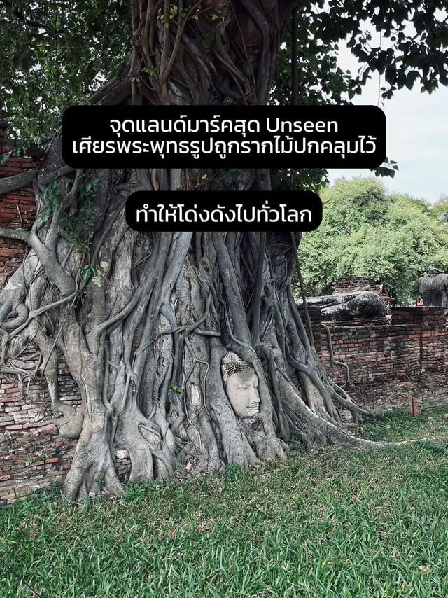 🧡พาเที่ยว "วัดมหาธาตุ" อุทธยานประวัติศาสตร์✨
