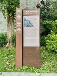 城市中的⛰️陽台山森林公園✨體驗自然風光行程推薦🏞️ 