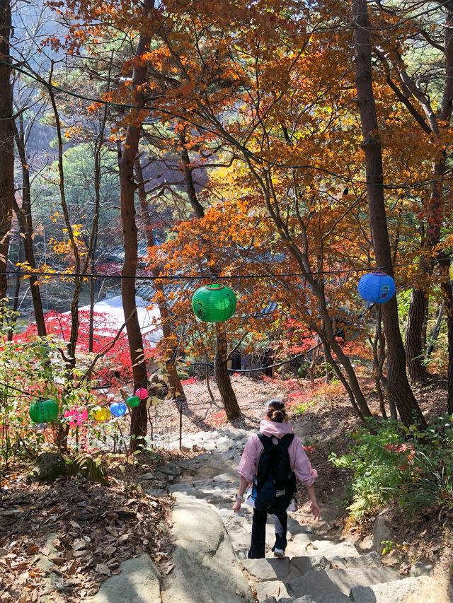 날씨가 좋을땐 뭐다~? 등산이다! 산의 매력을 느끼고 싶다면 이곳으로!