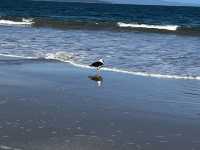 Explore the beauty of Hobart Seven mile Beach 