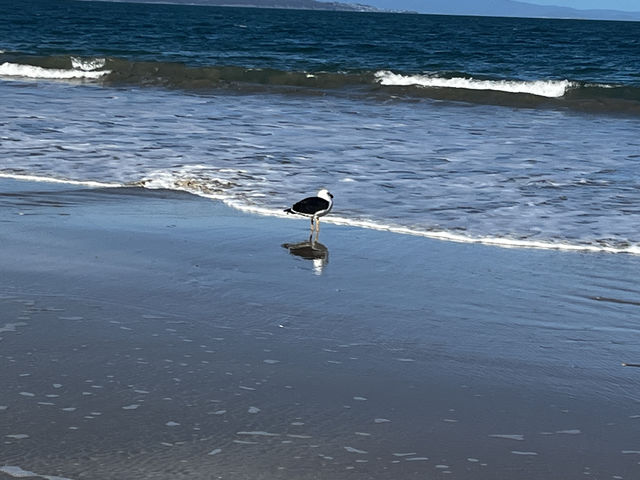 Explore the beauty of Hobart Seven mile Beach 
