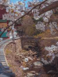 도착하자마자 우울한 마음이 샤르르 녹아드는 여행지“ 대흥사”
