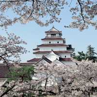  A Springtime Escape at Tsuruga castle