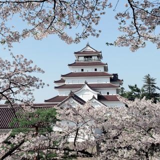  A Springtime Escape at Tsuruga castle