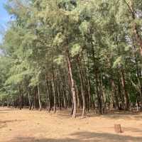อุทยานแห่งชาติแหลมสน จ.ระนอง
