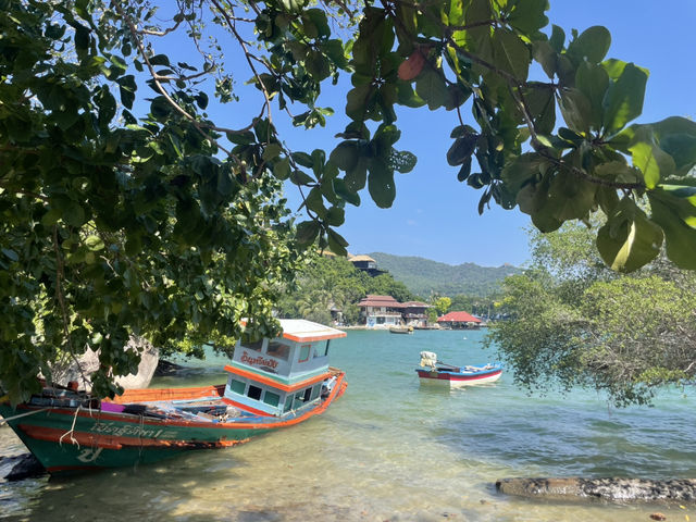 泰忘情獨旅女孩🐢文青龜島顛覆你的想像