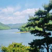 Divine Garden (Daecheongho Aquatic Plant Learning Center)