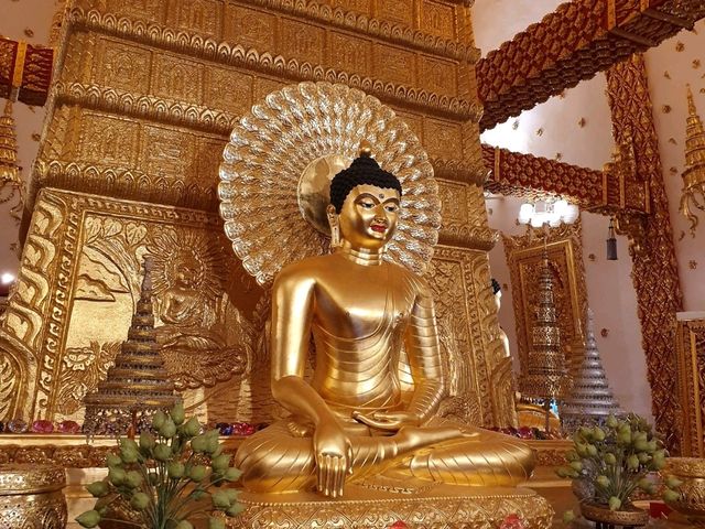วัดพระธาตุหนองบัว ความสวยงามในอุบลราชธานี