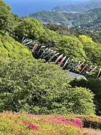 Spring Hike at Himenosawa Park