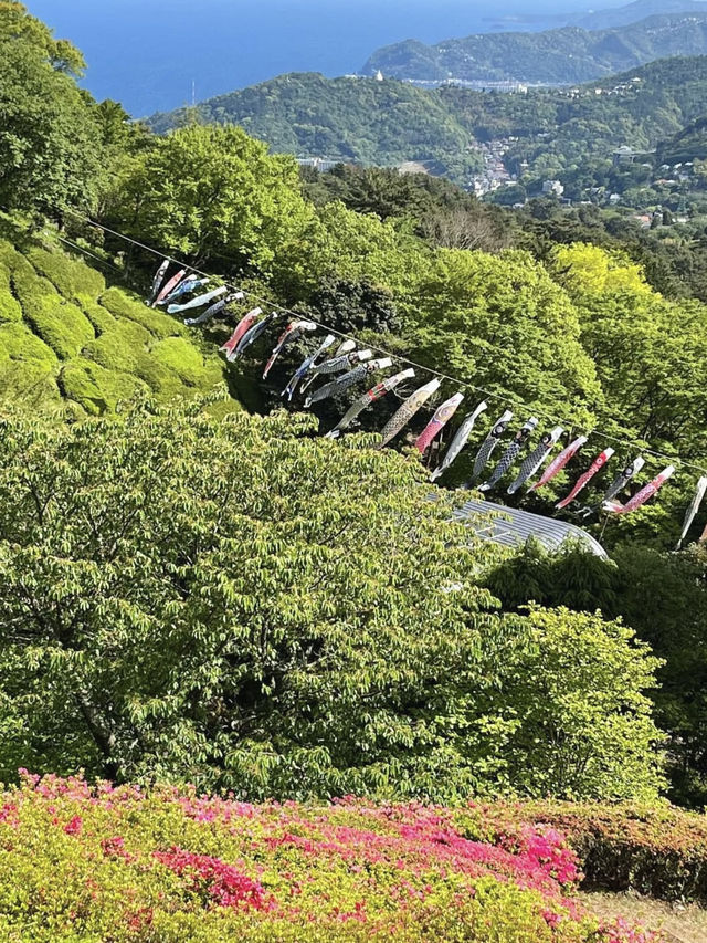Spring Hike at Himenosawa Park