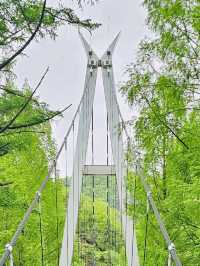 A Breath of Fresh Air at Jangtaesan Natural Recreational Forest