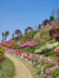 🌸가족 당일치기 여행으로 추천하는🌼피나클랜드 수목원🍃